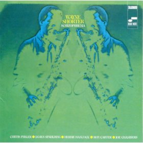 Albumcoverwayneshorte-schizophrenia