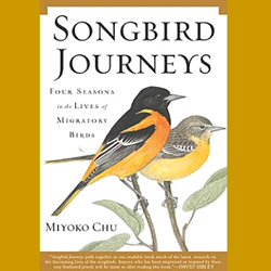 Songbird Journeys