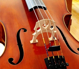  cello