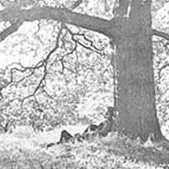 Albumcoveryokoono-plasticonoband