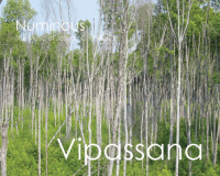 Vipassana Vipassana