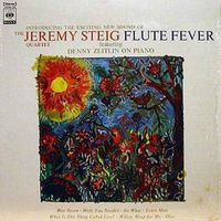 Jeremy_steig--flute_fever_1